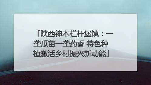 陕西神木栏杆堡镇：一垄瓜苗一垄药香 特色种植激活乡村振兴新动能