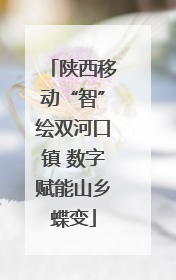 陕西移动“智”绘双河口镇 数字赋能山乡蝶变