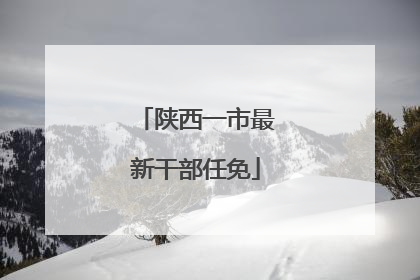 陕西一市最新干部任免