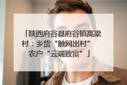 陕西府谷县府谷镇高梁村：乡货“触网出村” 农户“云端致富”