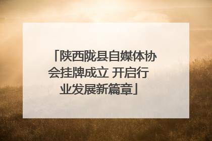 陕西陇县自媒体协会挂牌成立 开启行业发展新篇章