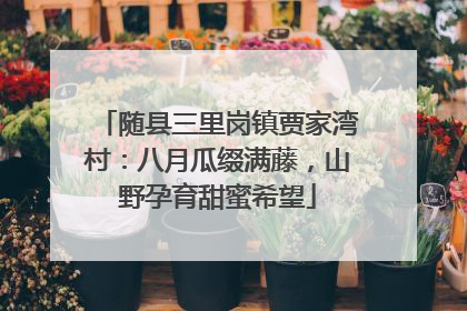 随县三里岗镇贾家湾村：八月瓜缀满藤，山野孕育甜蜜希望