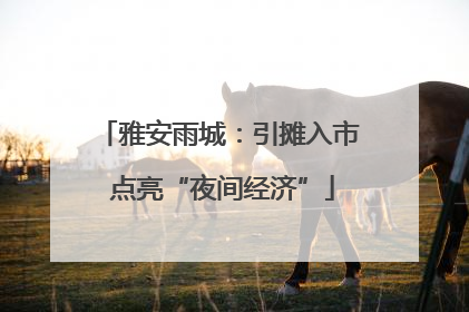雅安雨城：引摊入市 点亮“夜间经济”