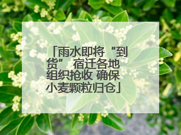 雨水即将“到货” 宿迁各地组织抢收 确保小麦颗粒归仓