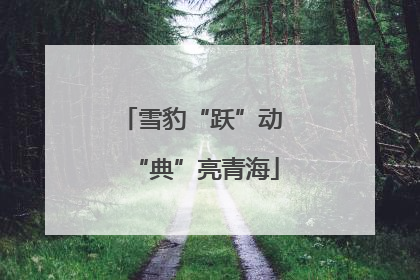雪豹“跃”动 “典”亮青海