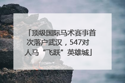 顶级国际马术赛事首次落户武汉，547对人马“飞跃”英雄城