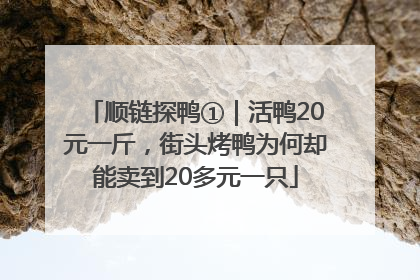 顺链探鸭①｜活鸭20元一斤，街头烤鸭为何却能卖到20多元一只