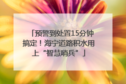 预警到处置15分钟搞定！海宁道路积水用上“智慧哨兵”
