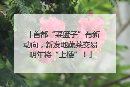 首都“菜篮子”有新动向，新发地蔬菜交易明年将“上楼”！