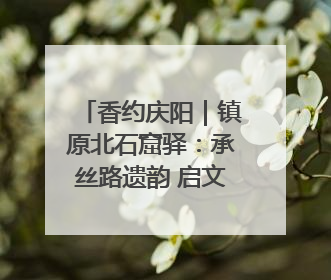 香约庆阳｜镇原北石窟驿：承丝路遗韵 启文旅创新篇章