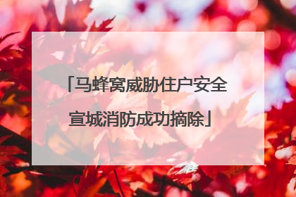 马蜂窝威胁住户安全 宣城消防成功摘除