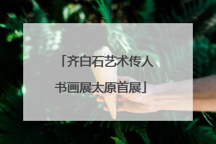 齐白石艺术传人书画展太原首展