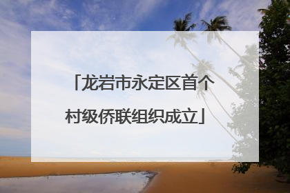 龙岩市永定区首个村级侨联组织成立
