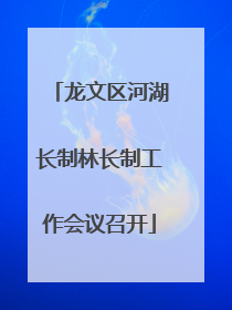 龙文区河湖长制林长制工作会议召开
