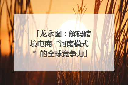 龙永图：解码跨境电商“河南模式”的全球竞争力