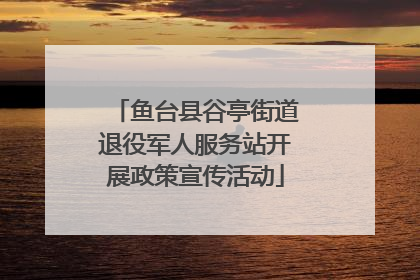 鱼台县谷亭街道退役军人服务站开展政策宣传活动