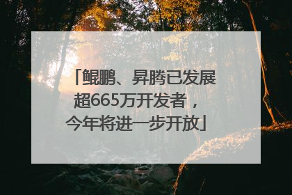 鲲鹏、昇腾已发展超665万开发者，今年将进一步开放