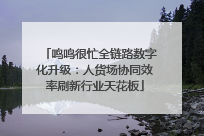 鸣鸣很忙全链路数字化升级：人货场协同效率刷新行业天花板