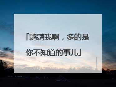 鹮鹮我啊，多的是你不知道的事儿