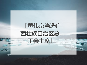 黄伟京当选广西壮族自治区总工会主席