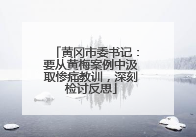 黄冈市委书记：要从黄梅案例中汲取惨痛教训，深刻检讨反思