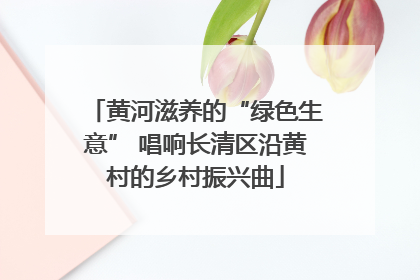 黄河滋养的“绿色生意” 唱响长清区沿黄村的乡村振兴曲