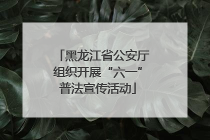 黑龙江省公安厅组织开展“六一”普法宣传活动