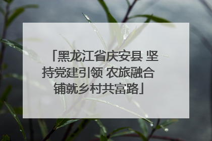 黑龙江省庆安县 坚持党建引领 农旅融合铺就乡村共富路