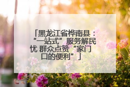 黑龙江省桦南县：“一站式”服务解民忧 群众点赞“家门口的便利”
