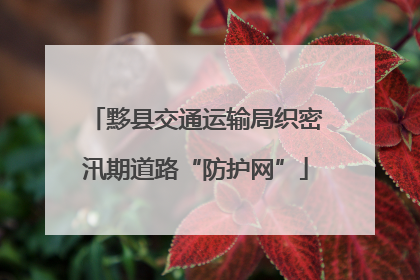 黟县交通运输局织密汛期道路“防护网”