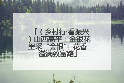 （乡村行·看振兴）山西高平：金银花里采“金银” 花香溢满致富路