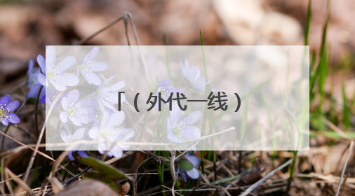 （外代一线）智利巴拉斯港：龙卷风过后
