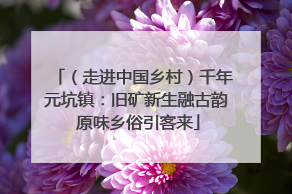 （走进中国乡村）千年元坑镇：旧矿新生融古韵 原味乡俗引客来