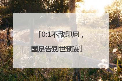 0:1不敌印尼，国足告别世预赛
