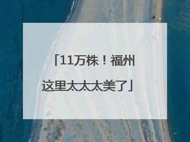 11万株！福州这里太太太美了