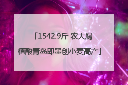 1542.9斤 农大腐植酸青岛即墨创小麦高产