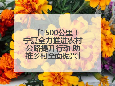 1500公里！宁夏全力推进农村公路提升行动 助推乡村全面振兴