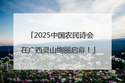 2025中国农民诗会在广西灵山绚丽启幕！