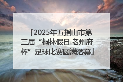 2025年五指山市第三届“桐林假日·老州府杯”足球比赛圆满落幕