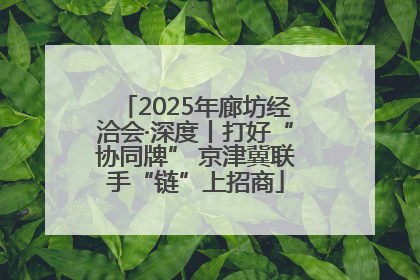 2025年廊坊经洽会·深度丨打好“协同牌” 京津冀联手“链”上招商