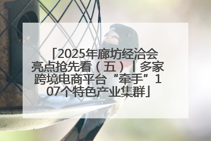 2025年廊坊经洽会亮点抢先看（五）丨多家跨境电商平台“牵手”107个特色产业集群