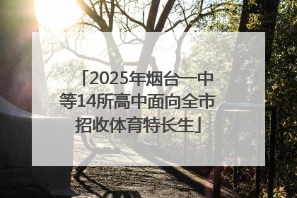 2025年烟台一中等14所高中面向全市招收体育特长生