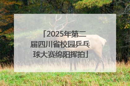 2025年第二届四川省校园乒乓球大赛绵阳挥拍