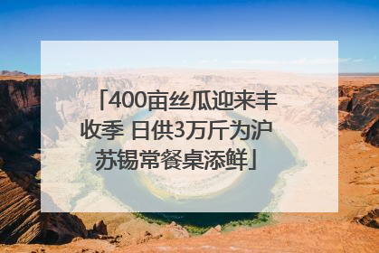 400亩丝瓜迎来丰收季 日供3万斤为沪苏锡常餐桌添鲜