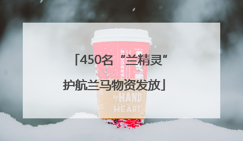 450名“兰精灵”护航兰马物资发放
