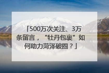 500万次关注、3万条留言，“牡丹包裹”如何助力菏泽破圈？
