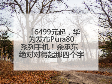6499元起，华为发布Pura80系列手机！余承东：绝对对得起那四个字！华为近十年研发投入12490亿元