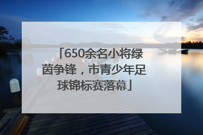 650余名小将绿茵争锋，市青少年足球锦标赛落幕