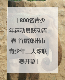 800名青少年运动员跃动青春 首届郑州市青少年三大球联赛开幕