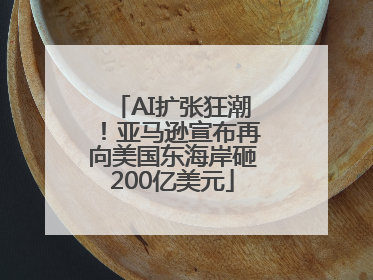 AI扩张狂潮！亚马逊宣布再向美国东海岸砸200亿美元